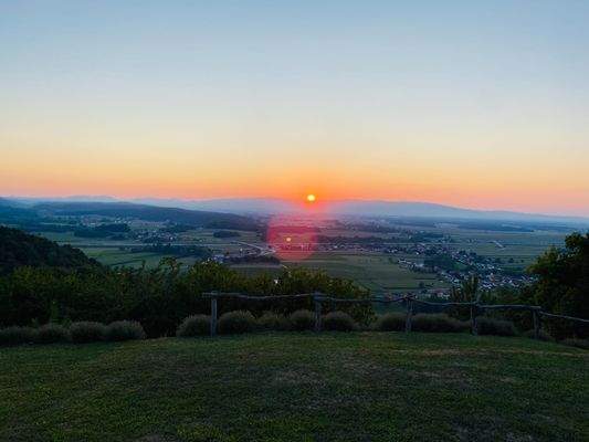 ...Sie werden diesen Blick lieben.... 