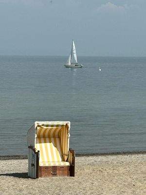 WhatsApp Image 2025-04-14 at 18.40.01.jpeg