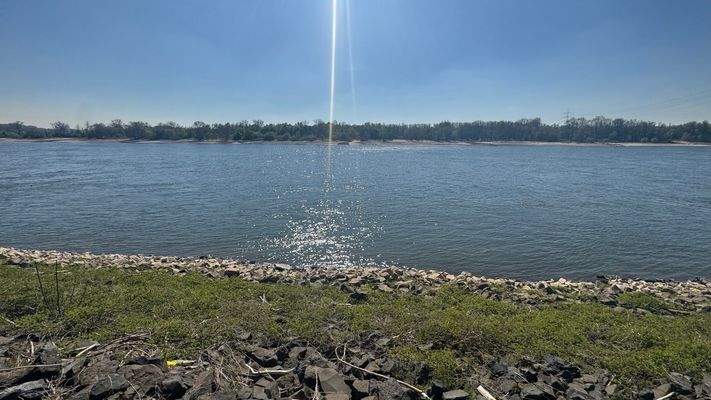 Impression vom Rhein