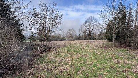 Feldatal Bauernhöfe, Landwirtschaft, Feldatal Forstwirtschaft