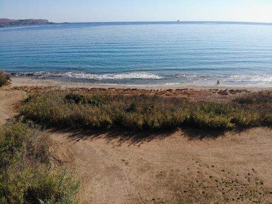 Kreta, Kiani Akti: Prestigeträchtiges Grundstück direkt am Meer nahe Kalyves zu verkaufen