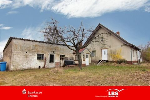Falkenberg Häuser, Falkenberg Haus kaufen