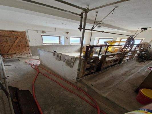 Stallungen geruchlos