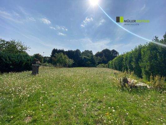 3993a4cf-b6bc-4a56-b6b6-21978e017ca8