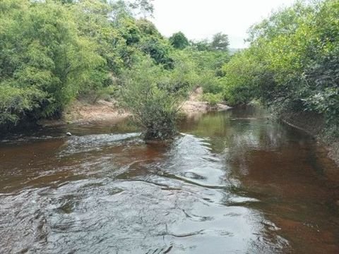 Rio Jurua Grundstücke, Rio Jurua Grundstück kaufen