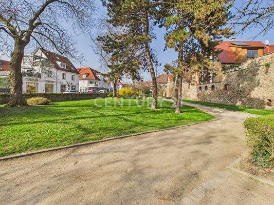 Direkte Lage am Park