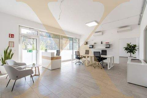 Steyr Büros, Büroräume, Büroflächen 