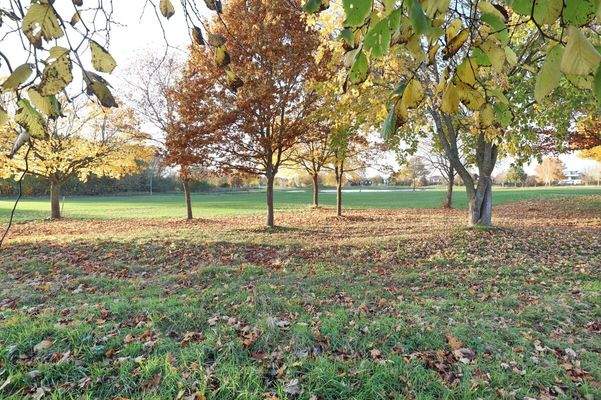 Blick Richtung Golfplatz