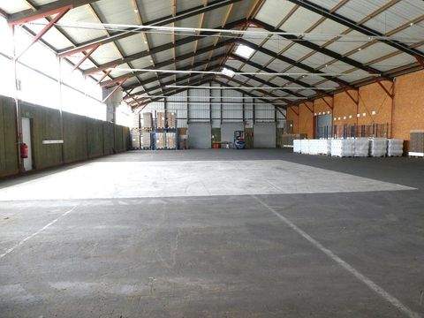 Schondra Halle, Schondra Hallenfläche