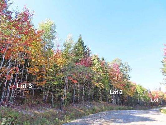 Nova Scotia - West Side Country Harbour - Preiswer