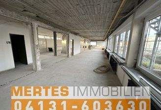 Mertes Immobilien