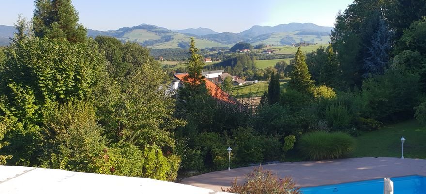 Bild 15