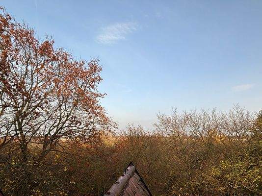 17-Blick aus der Küche.JPG