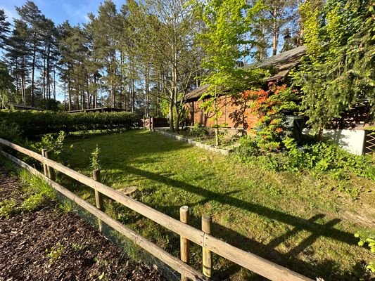 Garten hinter dem Carport