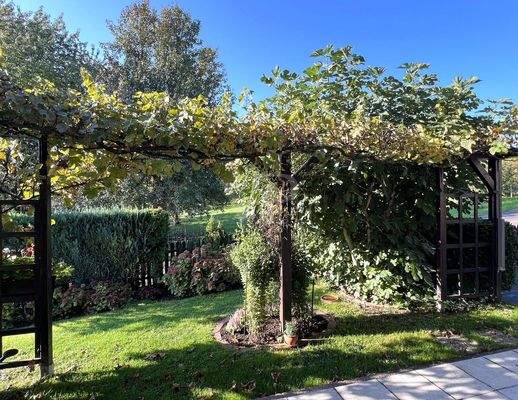 Aussicht von der Terrasse