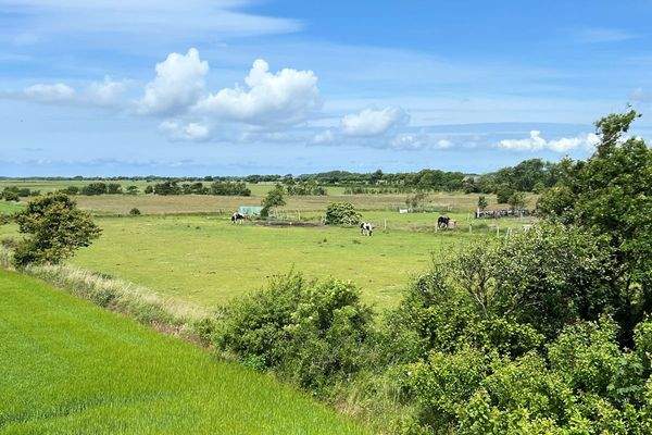 Pferdekoppel zum Haus