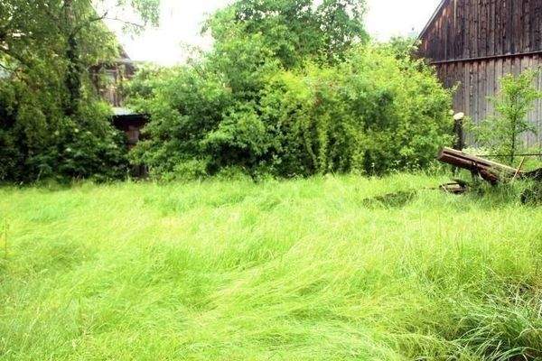 Garten II.JPG