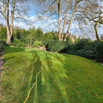 Blick in den Garten.jpg