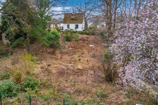 DI - Forbes Global Properties