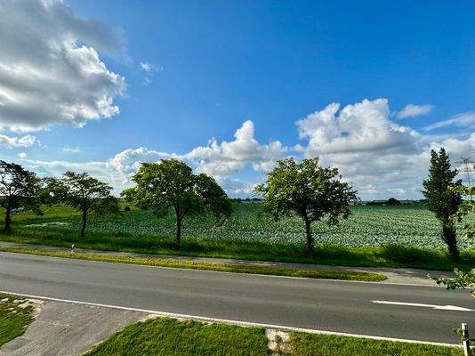 Ihr Ausblick vom Balkon