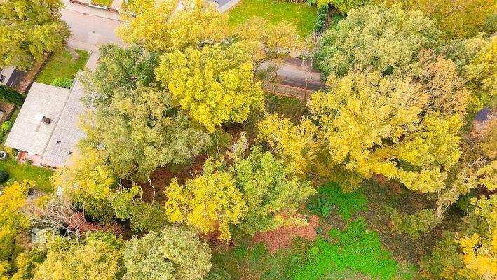 Grundstück von oben