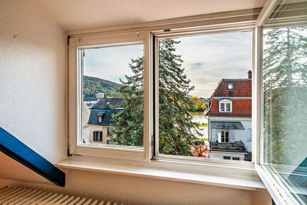 Blick auf den Neckar