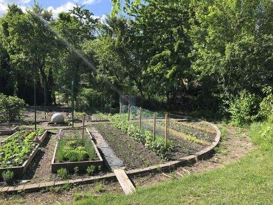Garten Gemüsekreis (1)