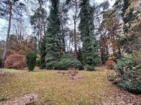 Wandlitz Grundstücke, Wandlitz Grundstück kaufen