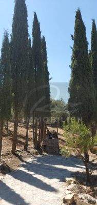 Gartenbereich Brunnen