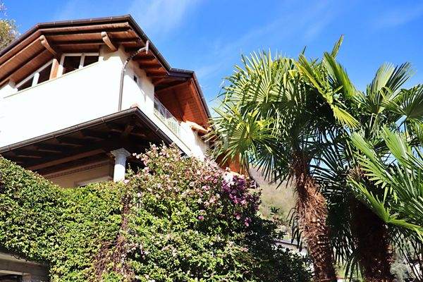 Particolare giardino