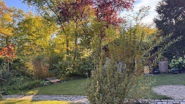 Herrliches Naturpanorama im Garten.jpg