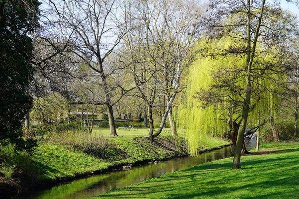 Bild 13