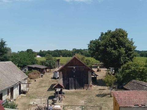 Patalom Häuser, Patalom Haus kaufen