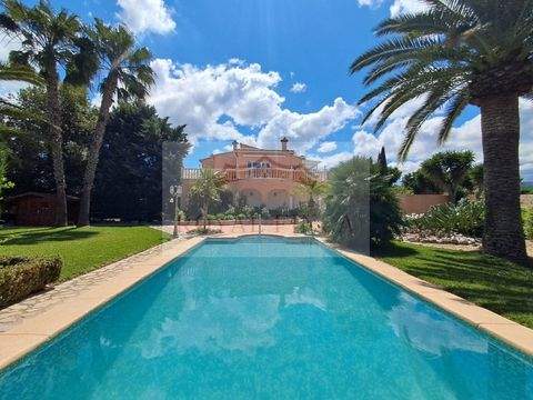 Denia Häuser, Denia Haus kaufen