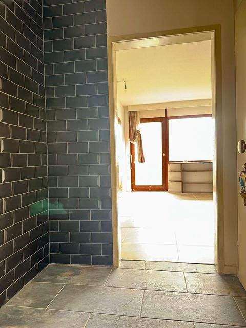 Freudenstadt-Kniebis Wohnungen, Freudenstadt-Kniebis Wohnung mieten