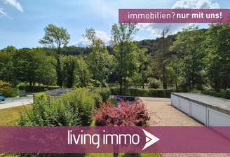 Vorlage Startbild Normal Logo und Fenster living immo Farbe(29)