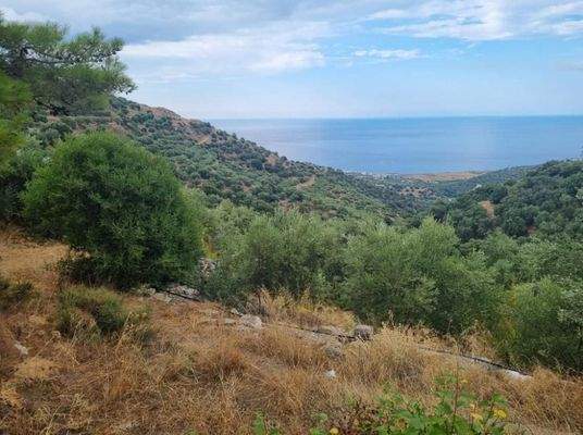 Kreta, Mochlos: Erhöhtes Baugrundstück mit Meerblick in Sfaka zu verkaufen