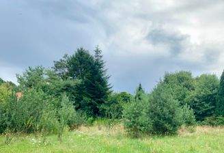IMG_5268.jpeg