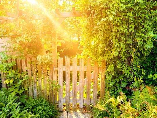 Gartenpforte zur Ilmenau 