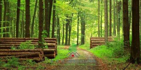 Rhauderfehn Grundstücke, Rhauderfehn Grundstück kaufen