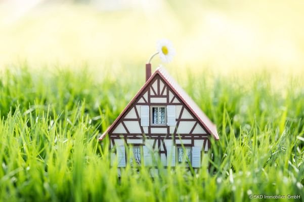 Haus im Grünen I AdobeStock_142464092
