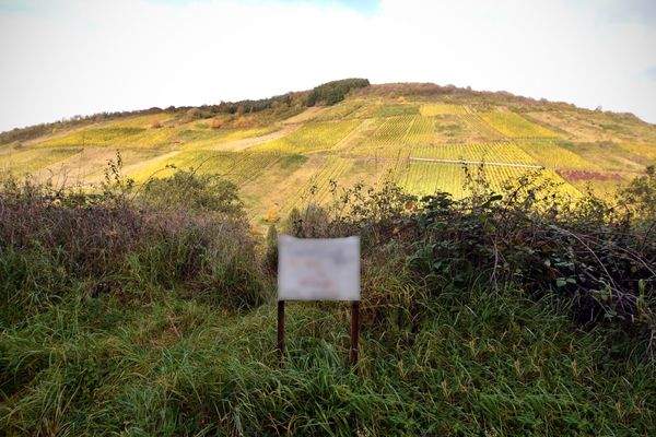 St. Laurentius-Straße 5 – 54320 Waldrach