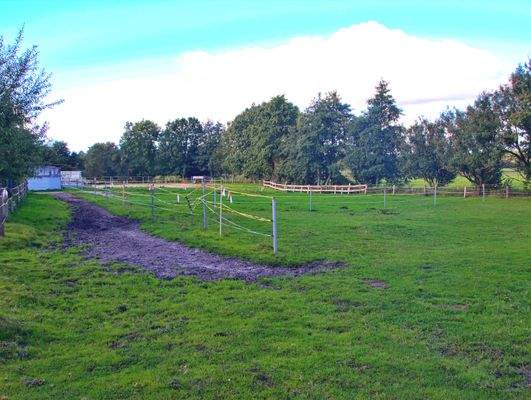 Weide richtung Paddock.JPG