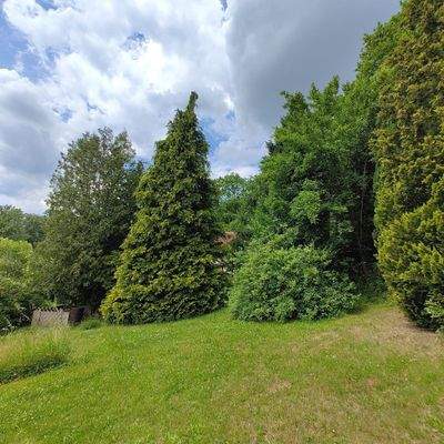 Grüne Gartenlandschaft