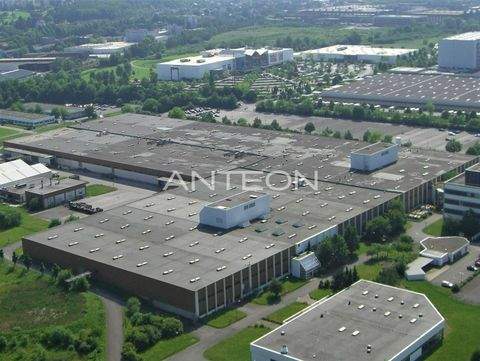 Witten Halle, Witten Hallenfläche