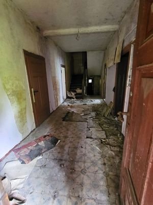 789658a0-bd49-47e3-a6a1-b47524f6deb5.jpg