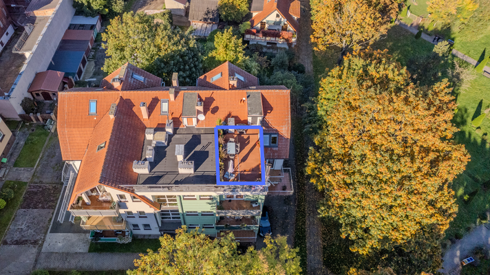 11_Projekt bez nazwy (6).png