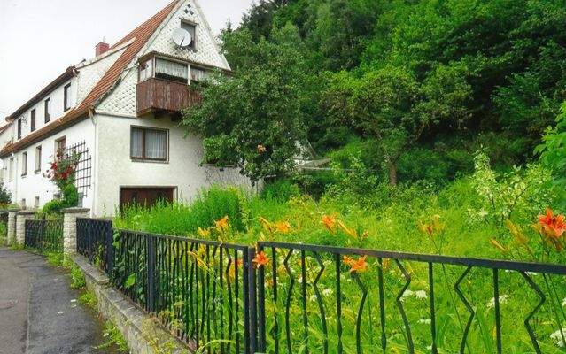 Seitenansicht mit Garten