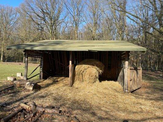 Unterstand für das Dammwild.jpg