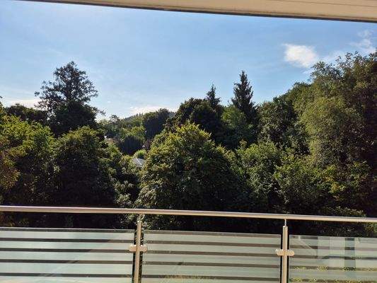 Blick vom Wohnbereich - reine Südseite - unverbaubar